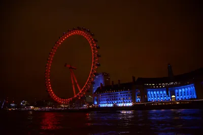 DSC_5726 (Large).JPG